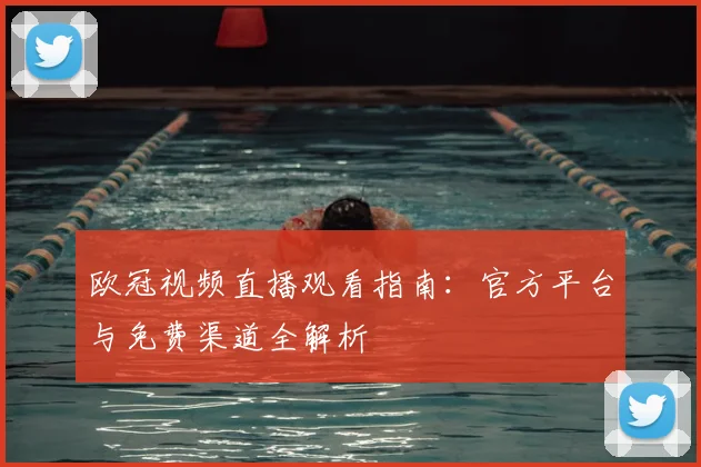 欧冠视频直播观看指南：官方平台与免费渠道全解析
